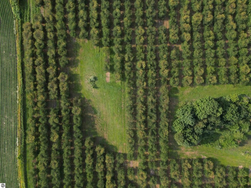 Discover this stunning 85.32-acre parcel just 8 minutes from the - Beach Acreage for sale in Traverse City, Michigan on Beachhouse.com