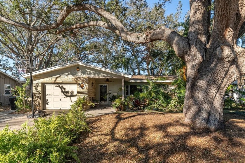 This beautifully updated 3-bedroom, 2-bathroom home is located - Beach Home for sale in St. Petersburg, Florida on Beachhouse.com