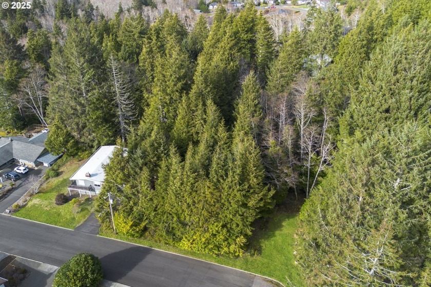 Beautiful ocean, city and sunset views afforded from this - Beach Lot for sale in Seaside, Oregon on Beachhouse.com