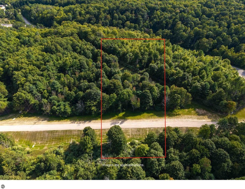 This special 5 acre lot holds the promise of a family dream that - Beach Acreage for sale in Cedar, Michigan on Beachhouse.com