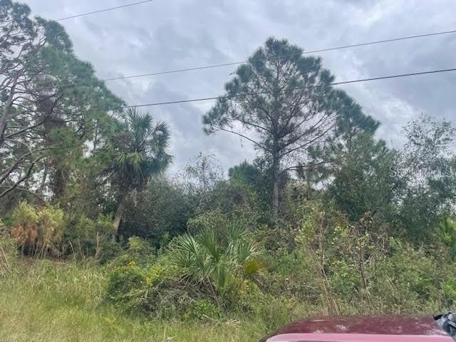 Prime Buildable Lot in Cordova Terrace, North Port, FL - Great - Beach Lot for sale in North Port, Florida on Beachhouse.com