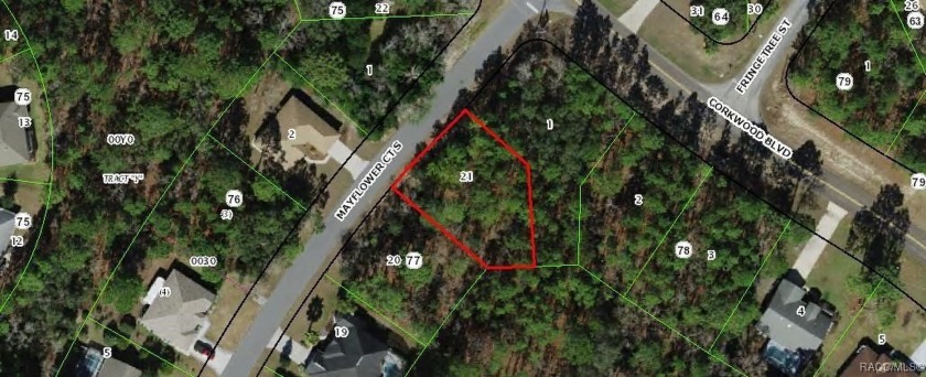 Wonderful, level, lightly treed building lot in the desirable - Beach Lot for sale in Homosassa, Florida on Beachhouse.com