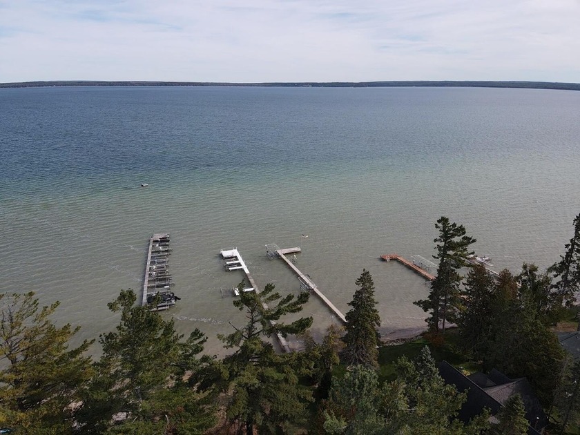 If you enjoy beach days, tanning, swimming and picnics, this - Beach Lot for sale in Cheboygan, Michigan on Beachhouse.com