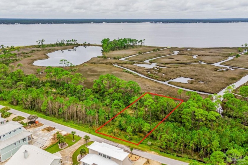 Wetland Assessment Study Report completed and in MLS DOCS - Beach Lot for sale in Pensacola, Florida on Beachhouse.com