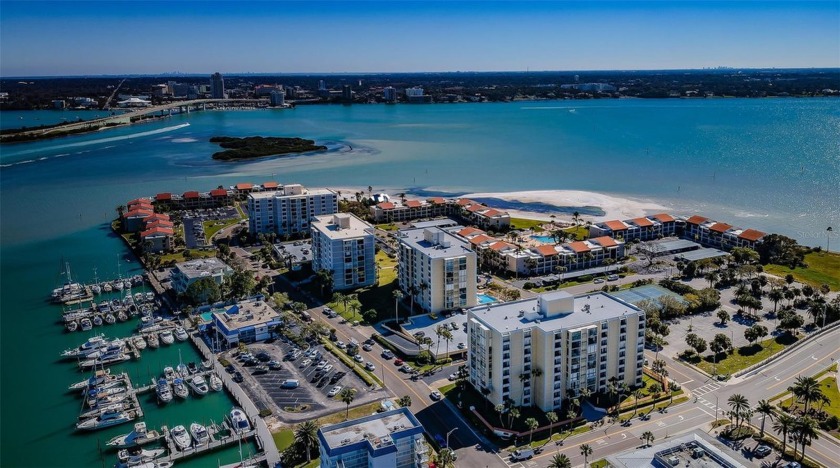 HIGH AND DRY WITH NO STORM DAMAGE!!! This impeccably designed - Beach Condo for sale in Clearwater, Florida on Beachhouse.com