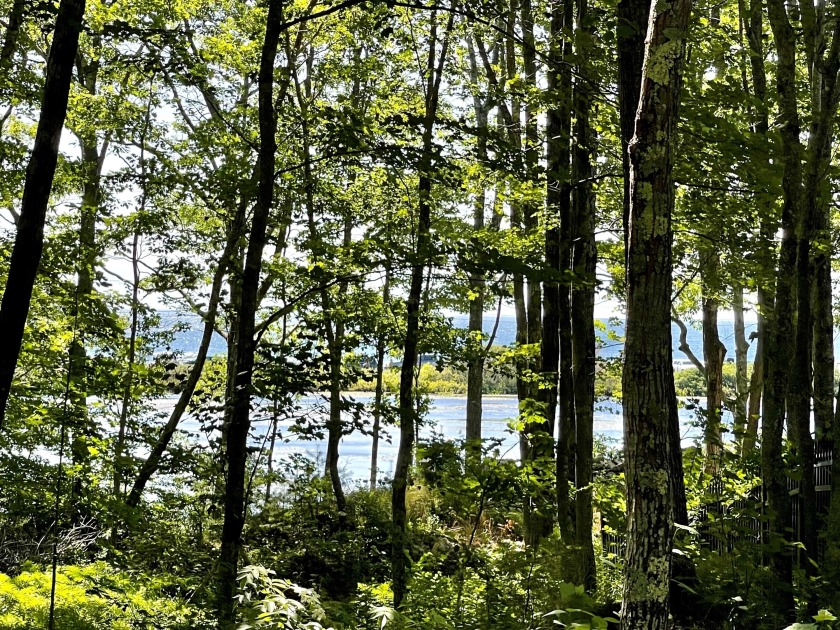 A LOVELY & PRISTINE 25 Acre wooded parcel dotted with - Beach Acreage for sale in Biddeford, Maine on Beachhouse.com