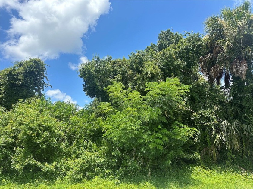 ** Adjacent lot is also available for purchase (2089 Basin St) - Beach Lot for sale in Port Charlotte, Florida on Beachhouse.com