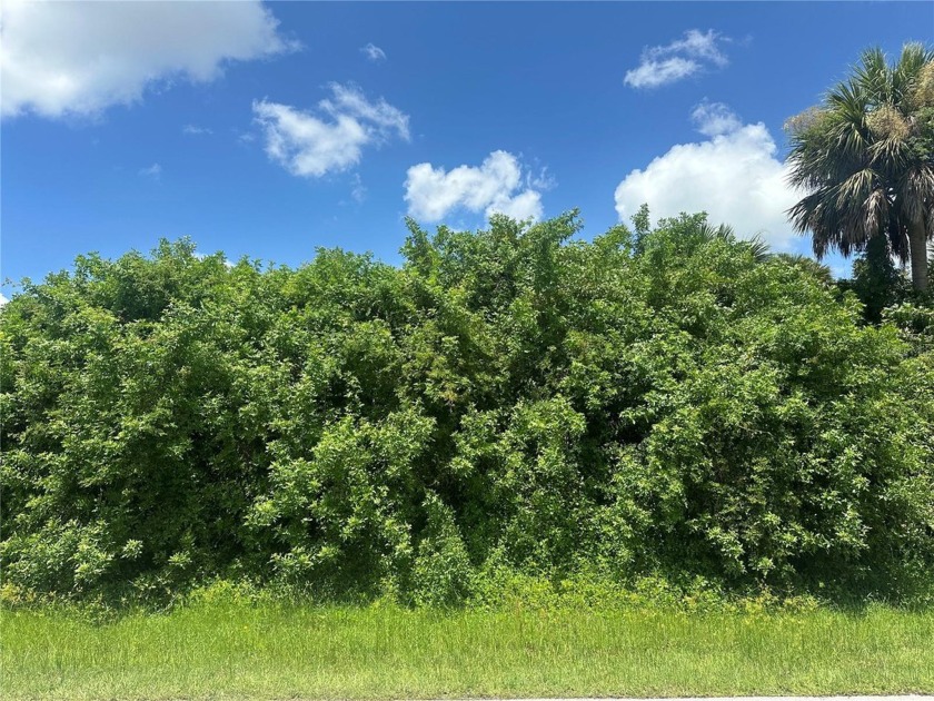 ** Adjacent lot is also available for purchase (2081 Basin St) - Beach Lot for sale in Port Charlotte, Florida on Beachhouse.com