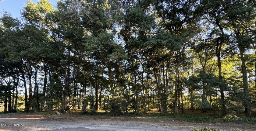 594 Medcalf Drive SW - Beach Lot for sale in Sunset Beach, North Carolina on Beachhouse.com