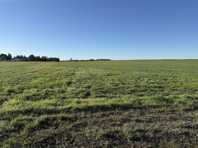 Prime 30-acre parcel in Ossineke Township, located at the - Beach Acreage for sale in Alpena, Michigan on Beachhouse.com