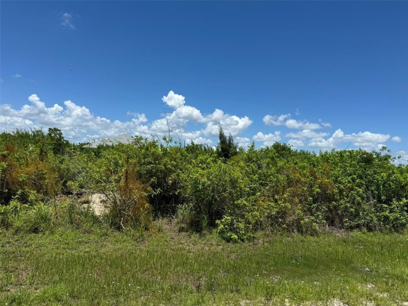 Beautiful dry lot in desirable Section 93 of South Gulf Cove - Beach Lot for sale in Port Charlotte, Florida on Beachhouse.com