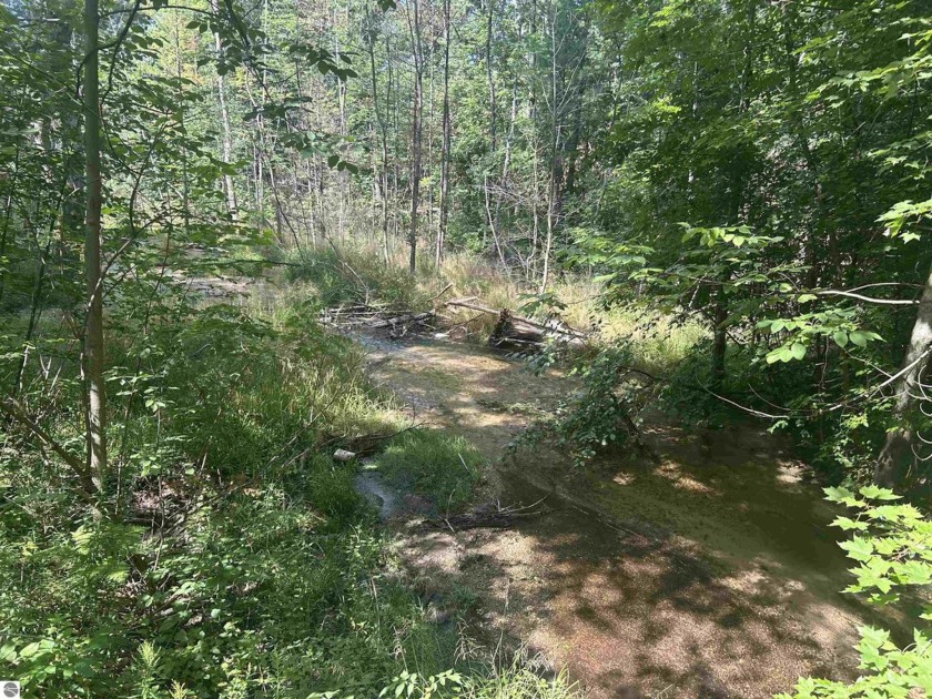 Shanty Creek meanders through this wooded vacant lot, where - Beach Acreage for sale in Bellaire, Michigan on Beachhouse.com