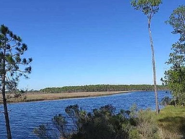 Privacy plus in this beautiful riverfront lot,  quick access to - Beach Lot for sale in Carabelle, Florida on Beachhouse.com