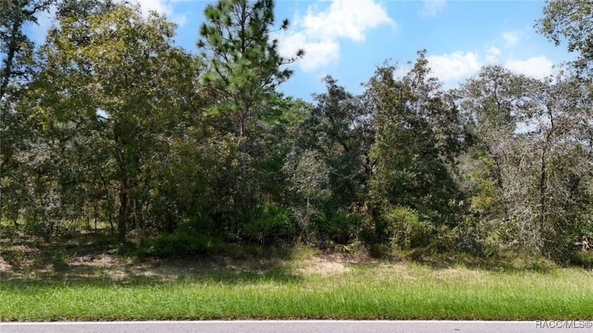 Discover the perfect opportunity to build your dream home in - Beach Lot for sale in Homosassa, Florida on Beachhouse.com