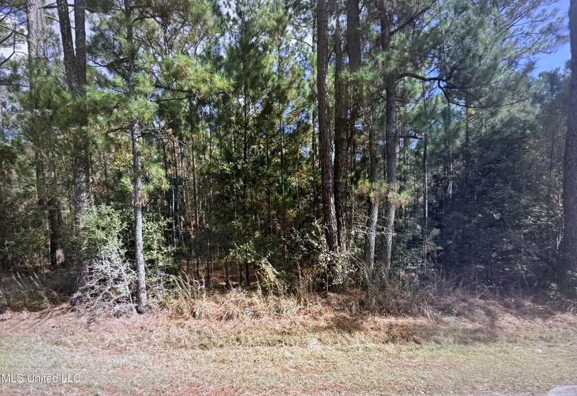Beautiful wooded parcel offering privacy, natural scenery, and - Beach Acreage for sale in Bay Saint Louis, Mississippi on Beachhouse.com
