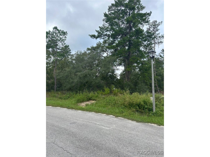 This lot is perfectly situated on a quiet cul-de-sac in the - Beach Lot for sale in Homosassa, Florida on Beachhouse.com