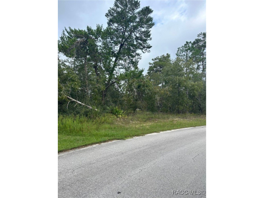 This lot is perfectly situated on a quiet cul-de-sac in the - Beach Lot for sale in Homosassa, Florida on Beachhouse.com