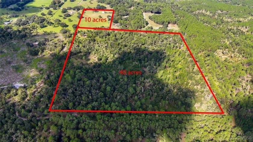 Looking for a serene and peaceful retreat in nature? This - Beach Acreage for sale in Inglis, Florida on Beachhouse.com