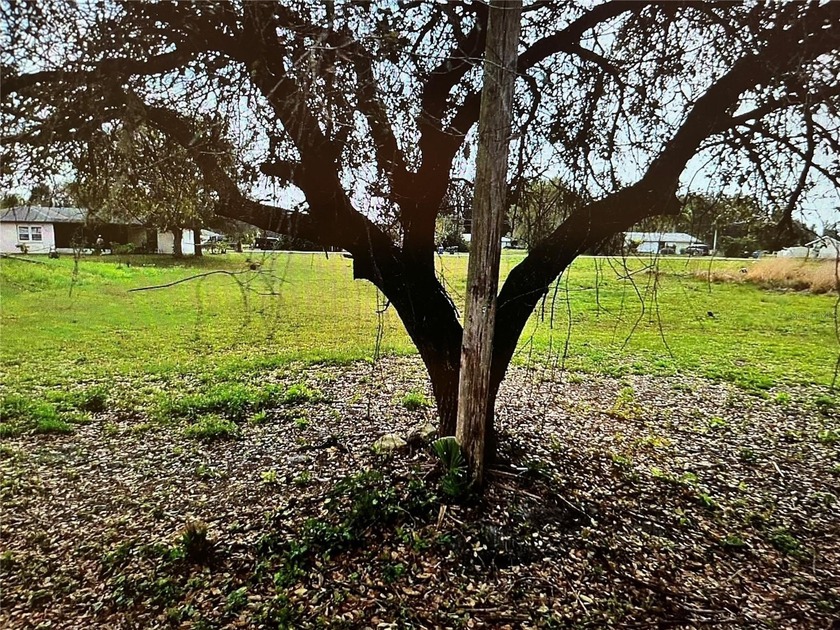 NOT FLOOD ZONE!This parcel is located in FAST-GROWING NORTH PORT - Beach Lot for sale in North Port, Florida on Beachhouse.com