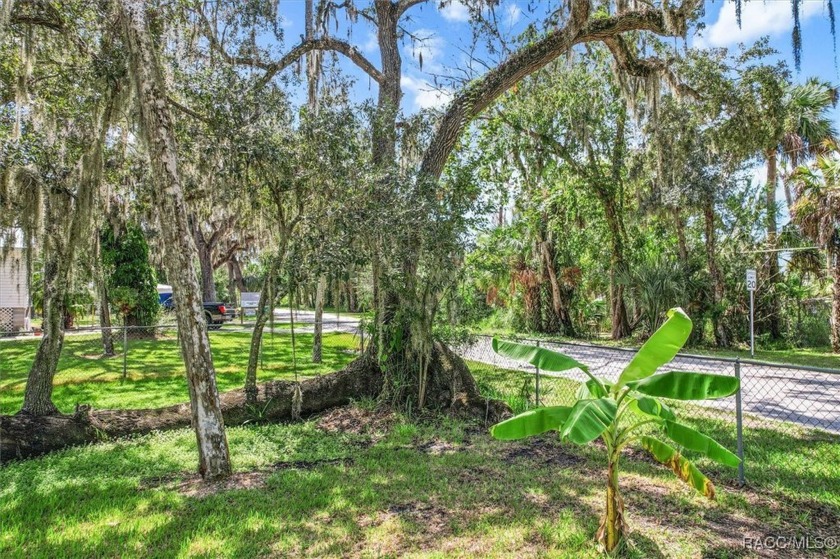 RARE FIND! Discover this prime .30-acre vacant property nestled - Beach Lot for sale in Homosassa, Florida on Beachhouse.com