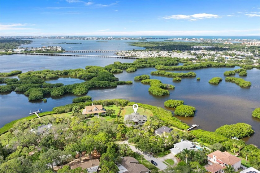 Come discover this exclusive gated waterfront estate, nestled in - Beach Home for sale in Seminole, Florida on Beachhouse.com