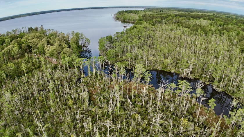 Discover the perfect blend of privacy, recreation, and - Beach Acreage for sale in Hertford, North Carolina on Beachhouse.com