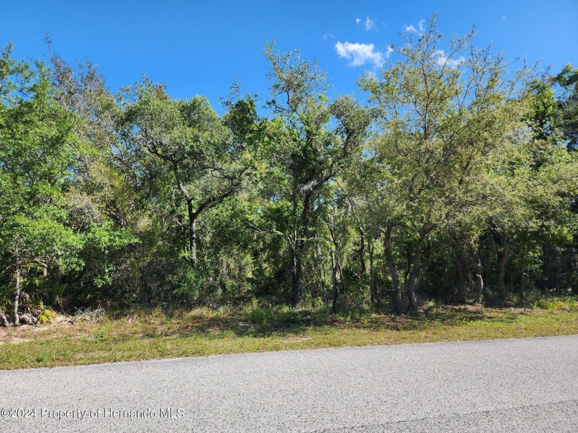 Are looking for the perfect place to build your HOME SWEET HOME? - Beach Lot for sale in Weeki Wachee, Florida on Beachhouse.com