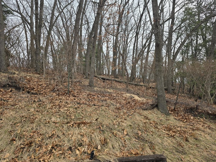 Discover your opportunity to build your dream home in coveted - Beach Lot for sale in Long Beach, Indiana on Beachhouse.com