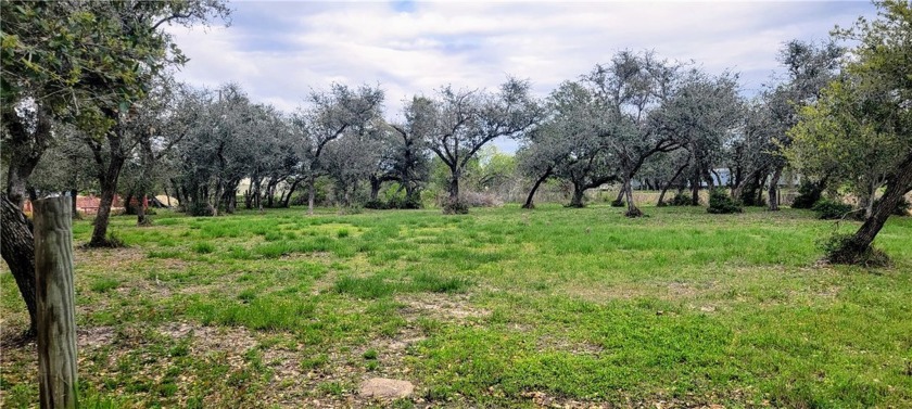 Groomed .6 Acre lot on cul-de-sac. Ready for your dream home! - Beach Lot for sale in Rockport, Texas on Beachhouse.com