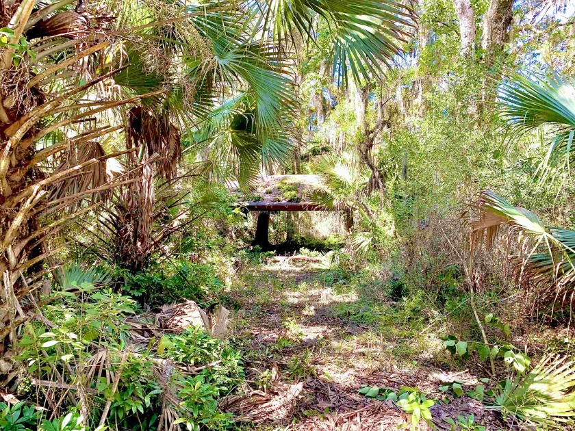 Extremely rare opportunity to own a serine piece of *Old - Beach Lot for sale in Crawfordville, Florida on Beachhouse.com