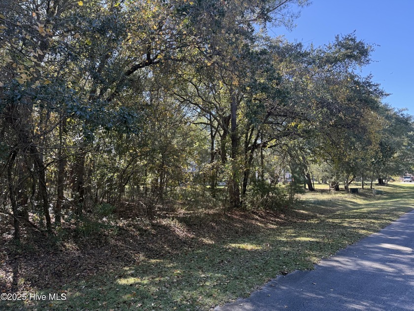 WATERFRONT AND GOLF COURSE COMMUNITY!!! Just a short drive to - Beach Lot for sale in New Bern, North Carolina on Beachhouse.com