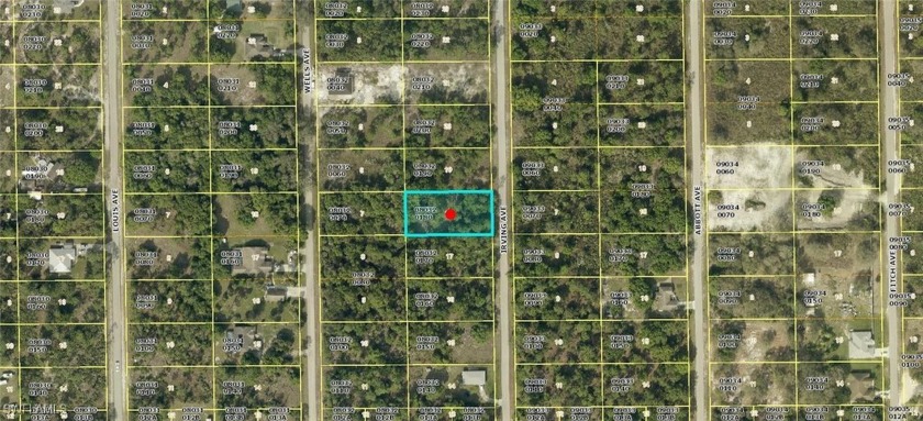 Excellent opportunity with a half acre lot in an area with new - Beach Lot for sale in Lehigh Acres, Florida on Beachhouse.com