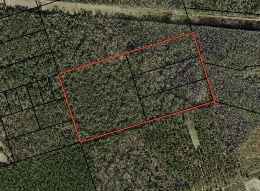 45 acres comprised of 4 lots. Located in a rural Crawfordville - Beach Acreage for sale in Crawfordville, Florida on Beachhouse.com