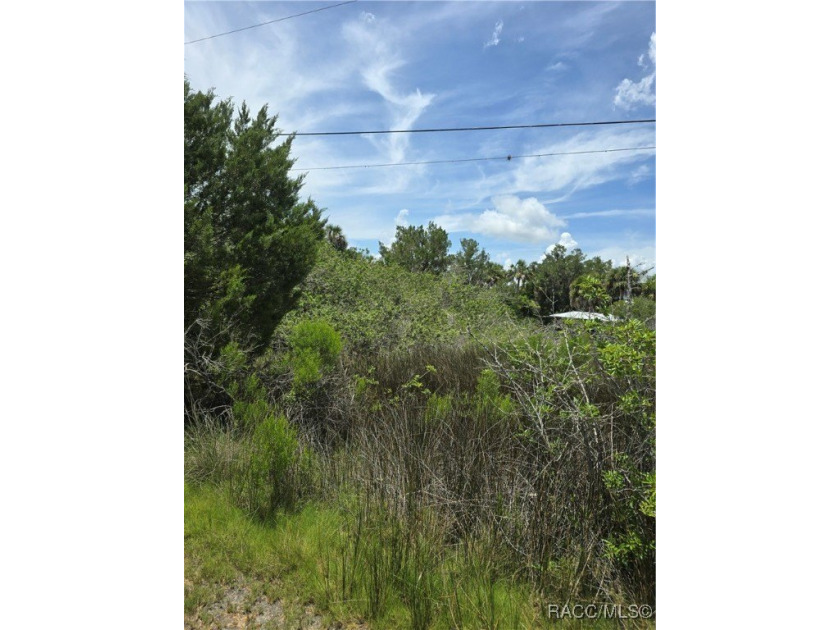 This property is Waterfront vacant undeveloped piece of land - Beach Lot for sale in Crystal River, Florida on Beachhouse.com