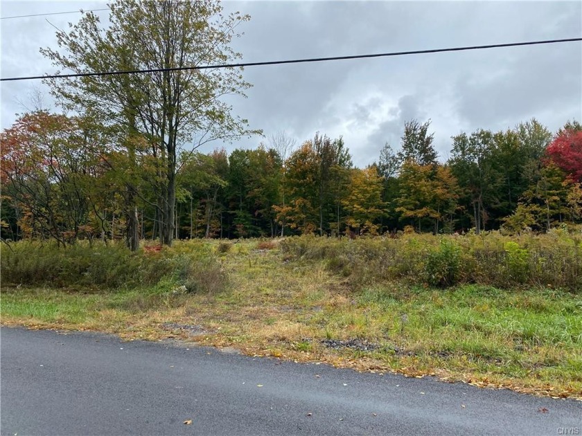 Location!!  This lot would make the perfect spot to build your - Beach Acreage for sale in Pulaski, New York on Beachhouse.com