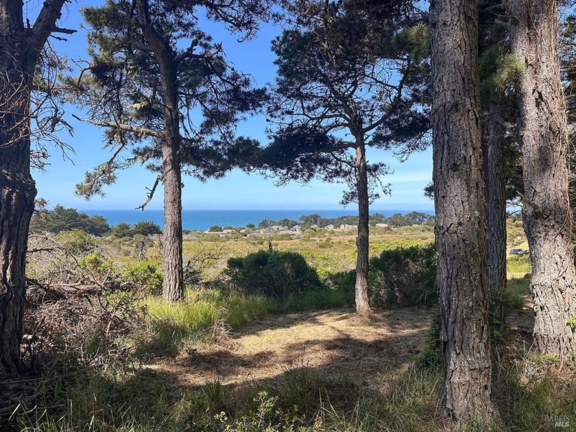 Your chance to own Sea Ranch's most unique, private, and - Beach Acreage for sale in Sea Ranch, California on Beachhouse.com