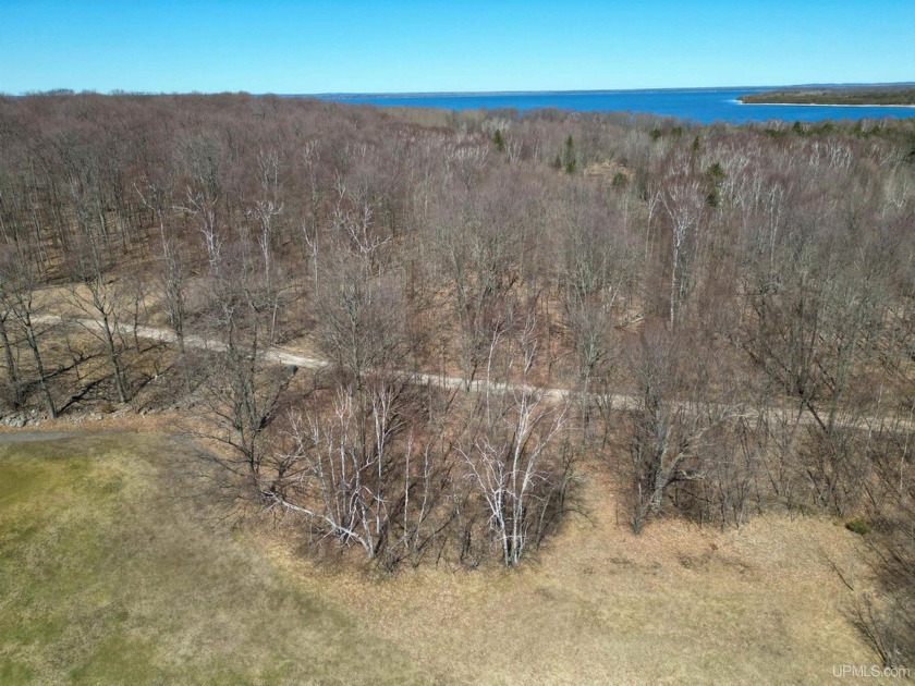 Envision your dream home nestled amidst the serene beauty of the - Beach Lot for sale in Garden, Michigan on Beachhouse.com