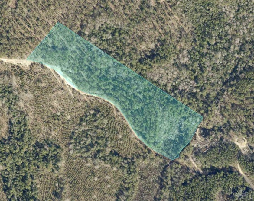8.7-acre lot 74 BR with dimensions 340 x 1200 feet is located - Beach Acreage for sale in Pace, Florida on Beachhouse.com