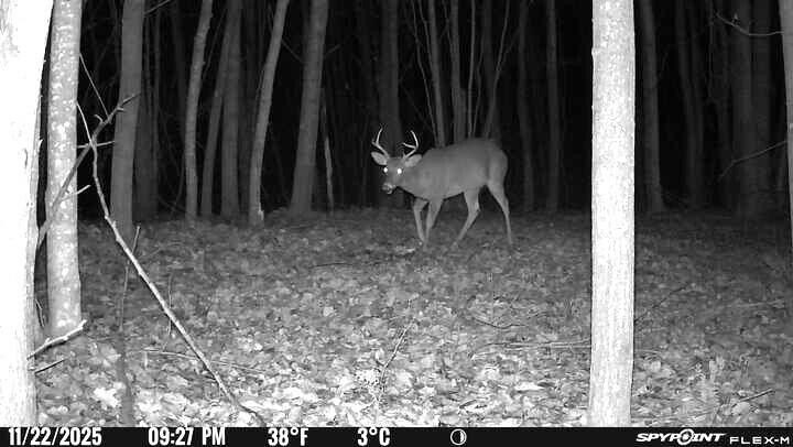 Beautifully wooded 40 acre square parcel located on blacktop - Beach Acreage for sale in Cheboygan, Michigan on Beachhouse.com