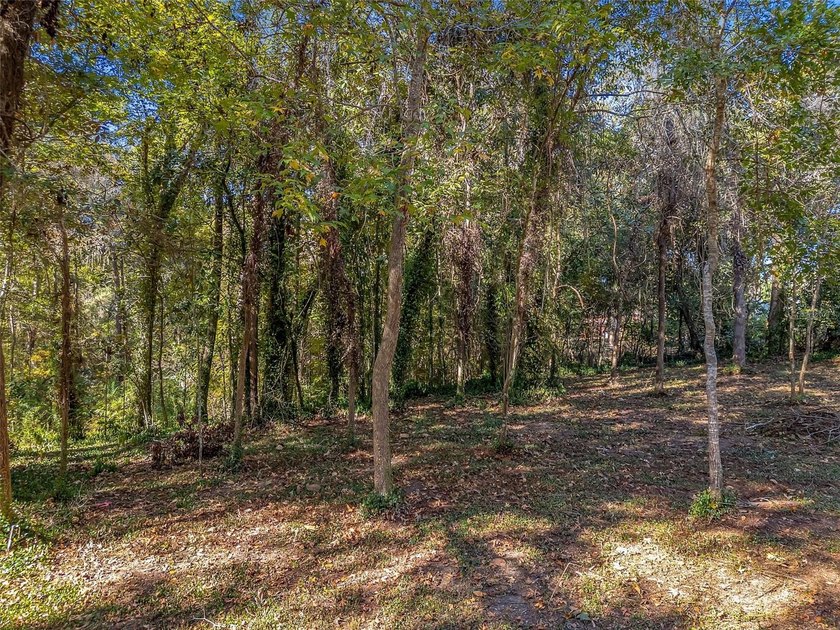 Located on a quiet cul-de-sac, this 0.36-acre lot is partially - Beach Lot for sale in Tallahassee, Florida on Beachhouse.com