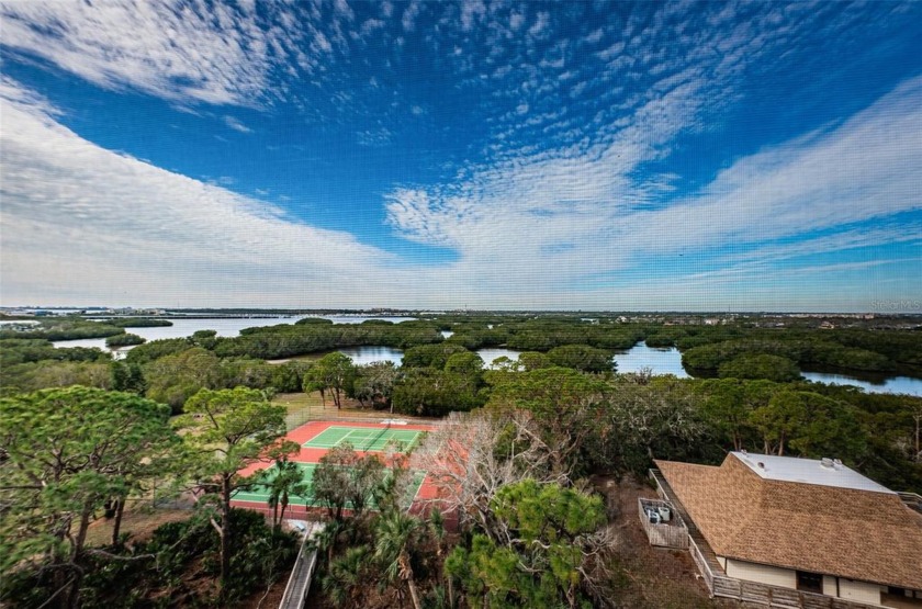 Moving on up! Ready to live in the PENTHOUSE? This gorgeous home - Beach Condo for sale in St. Petersburg, Florida on Beachhouse.com