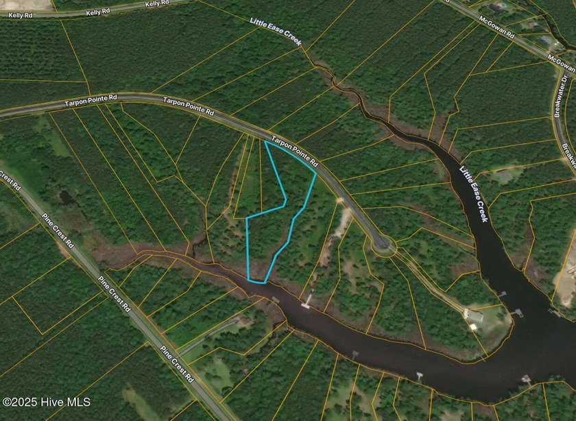 Tucked away in the serene countryside of Bath, NC, this 2 - Beach Acreage for sale in Bath, North Carolina on Beachhouse.com