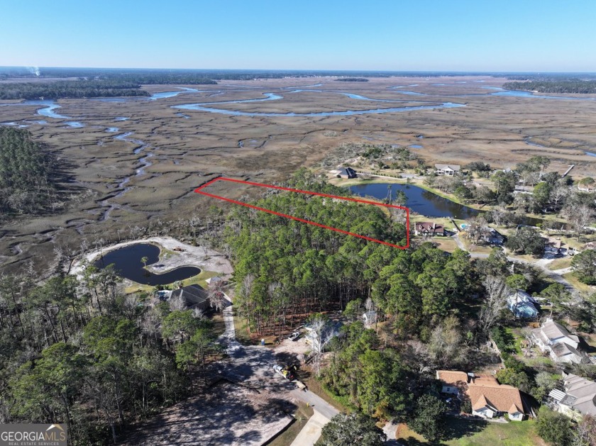 STUNNING MARSH & RIVER VIEWS AWAIT YOU FROM THIS 3.85 ACRE HOME - Beach Acreage for sale in Saint Marys, Georgia on Beachhouse.com