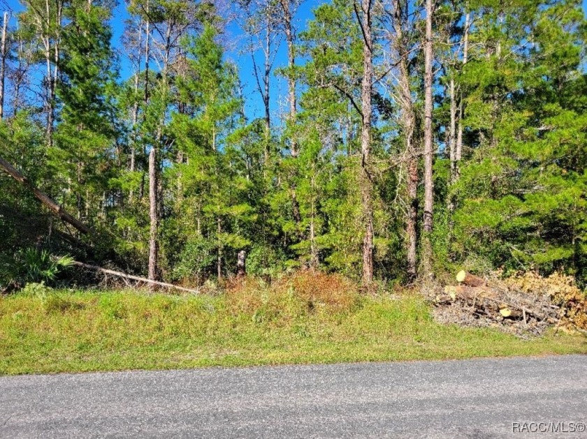 Homesite for that dream home you've been waiting for. Very near - Beach Lot for sale in Homosassa, Florida on Beachhouse.com