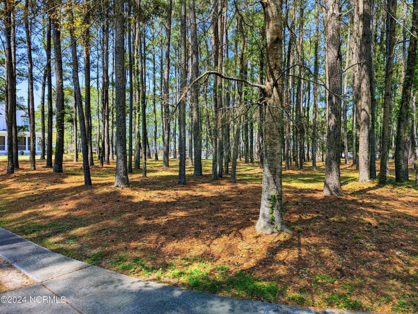 Ask any agent and they'll tell you, ''they love Devaun Park!'' - Beach Lot for sale in Calabash, North Carolina on Beachhouse.com