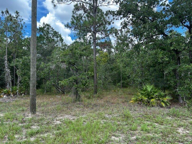 Build your income producing Duplex in the very desirable golf - Beach Lot for sale in Homosassa, Florida on Beachhouse.com