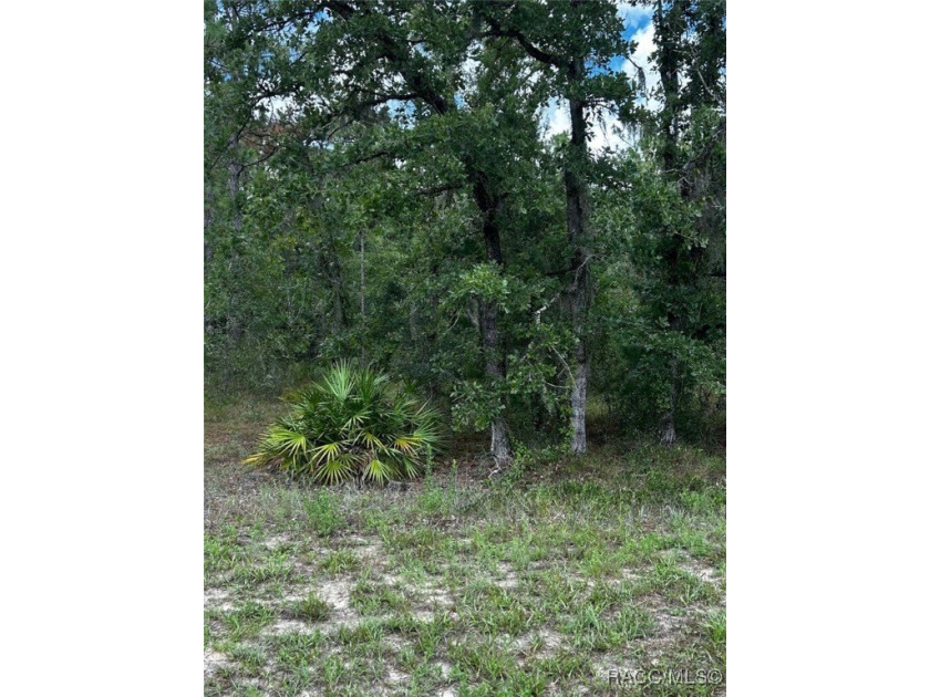 Build your income producing Duplex in the very desirable golf - Beach Lot for sale in Homosassa, Florida on Beachhouse.com