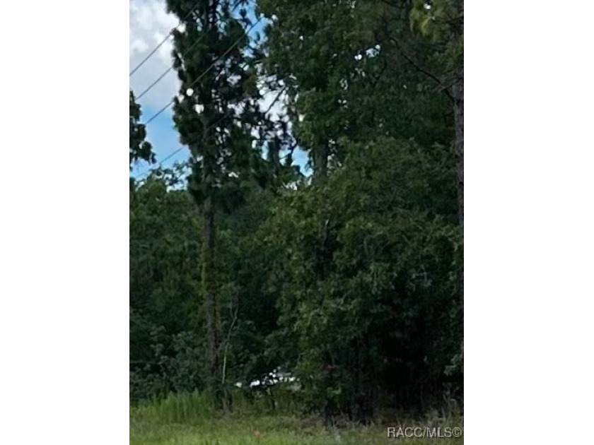 Build your income producing Duplex in the very desirable golf - Beach Lot for sale in Homosassa, Florida on Beachhouse.com