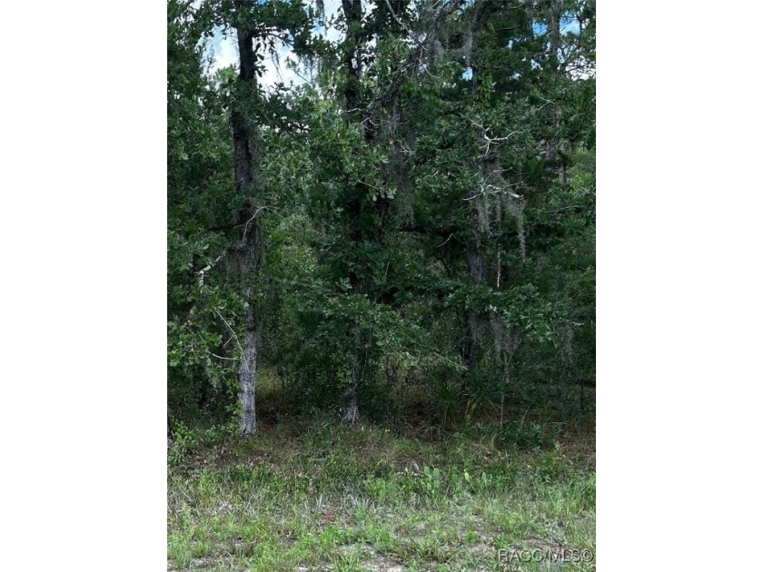 Build your income producing Duplex in the very desirable golf - Beach Lot for sale in Homosassa, Florida on Beachhouse.com