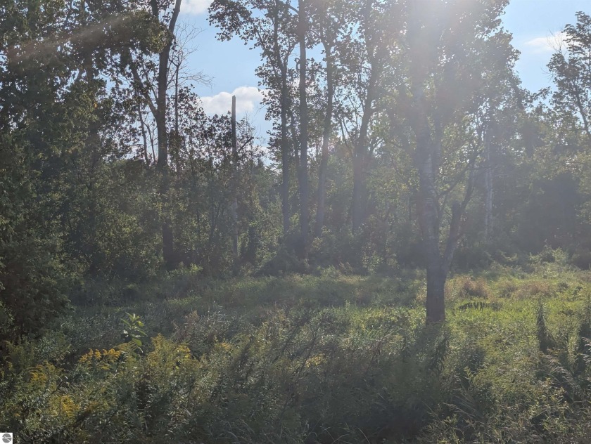A beautiful 20 acre parcel of recreational property awaits! - Beach Acreage for sale in Tawas City, Michigan on Beachhouse.com